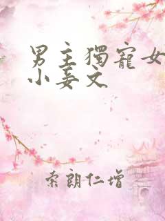男主独宠女主的小妾文