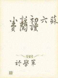 小说初六苏梅免费阅读