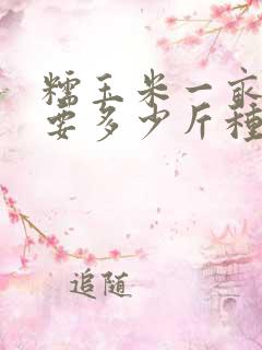 糯玉米一亩地需要多少斤种子
