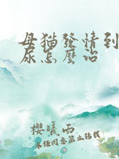 母猫发情到处乱尿怎么治