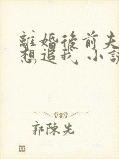 离婚后前夫总是想追我 小说
