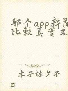 那个app新闻比较真实又准确