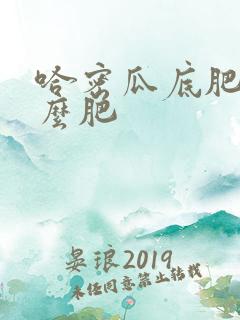 哈密瓜底肥用什么肥