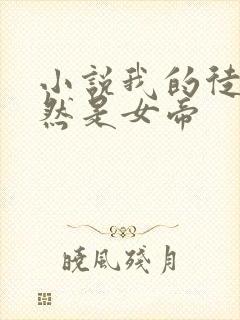 小说我的徒弟竟然是女帝