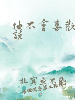 他不会喜欢我小说