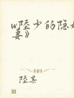 w陆少的隐婚罪妻》