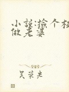 小说:捡个校花做老婆
