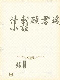 情刺顾君遥原著小说 情刺顾君遥原著小说
