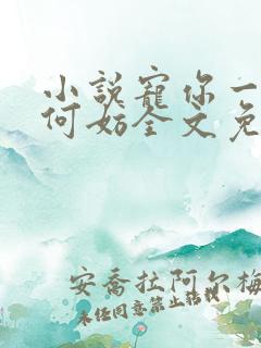 小说宠你一世又何妨全文免费阅读