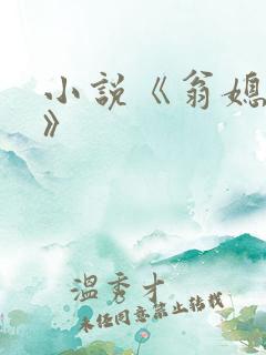 小说《翁媳乱情》