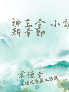 神王令 小说最新章节
