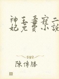 神王毒宠二嫁王妃免费小说