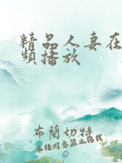 精品人妻在线视频播放