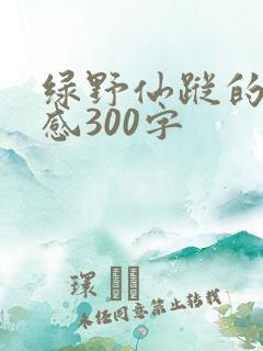 绿野仙踪的读后感300字 绿野仙踪的读后感300字