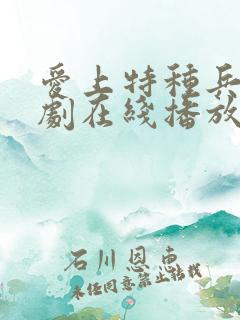 爱上特种兵电视剧在线播放
