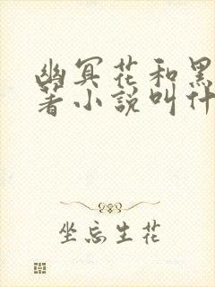 幽冥花和黑龙原著小说叫什么