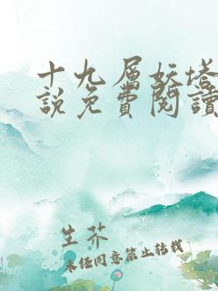 十九层妖塔的小说免费阅读最新章节