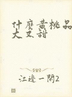 什么黄桃品种又大又甜