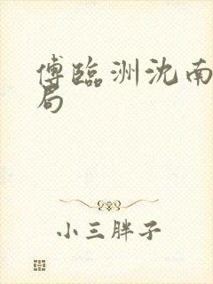 傅临洲沈南意结局