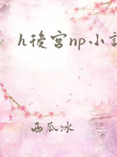 h后宫np小说