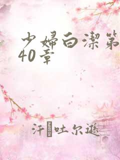 少妇白洁第1一40章