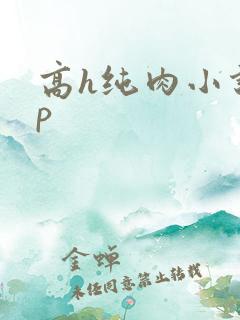 高h纯肉小说np