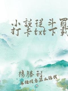 小说从斗罗开始打卡txt下载