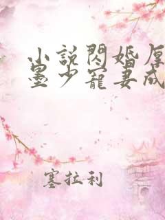 小说闪婚厚爱:墨少宠妻成瘾