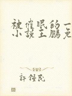 被催眠的一家人小说王鹏免费阅读