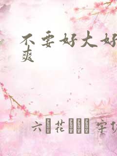 不要好大好硬好爽
