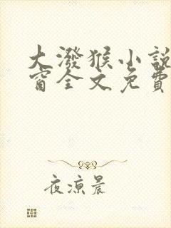 大泼猴小说无弹窗全文免费阅读