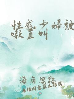 性感少妇被入嗷嗷直叫