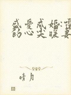 盛爱成婚:霍少的心尖暖妻小说