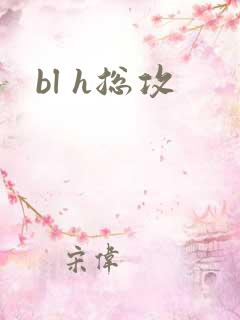 bl h总攻