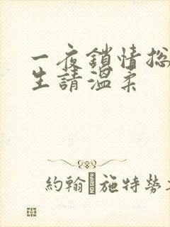 一夜锁情总裁先生请温柔
