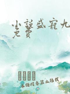 小说盛宠九皇妃免费