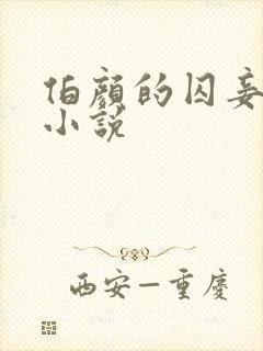 伯颜的囚妾黄蓉小说