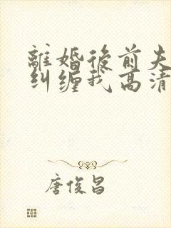 离婚后前夫总想纠缠我高清