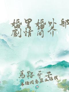 婚里婚外那些事剧情简介