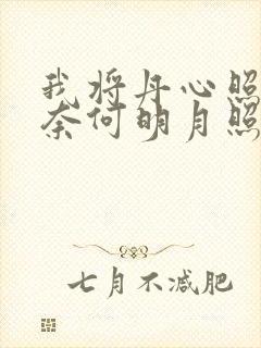 我将丹心照明月奈何明月照沟渠是什么意思啊