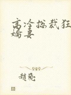高冷总裁狂宠小娇妻