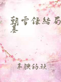 朝雪录结局谁登基