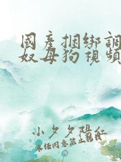国产捆绑调教女奴母狗视频