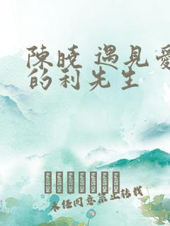 陈晓 遇见爱情的利先生