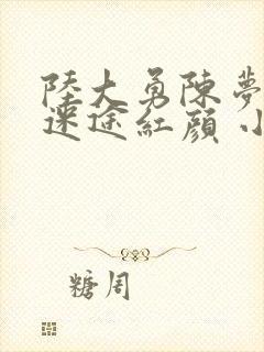 陆大勇陈梦洁 迷途红颜 小说