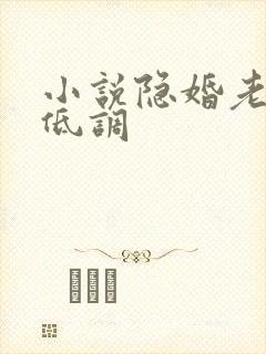 小说隐婚老公请低调