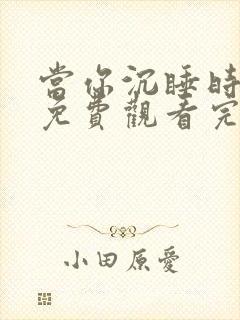 当你沉睡时韩剧免费观看完整版中文版