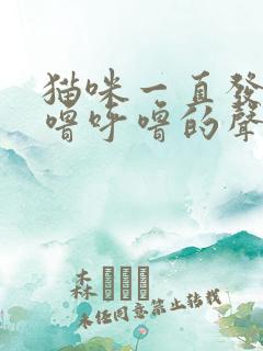 猫咪一直发出呼噜呼噜的声音