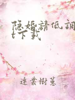 隐婚请低调txt下载
