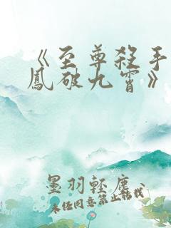 《至尊杀手妃:凤破九霄》